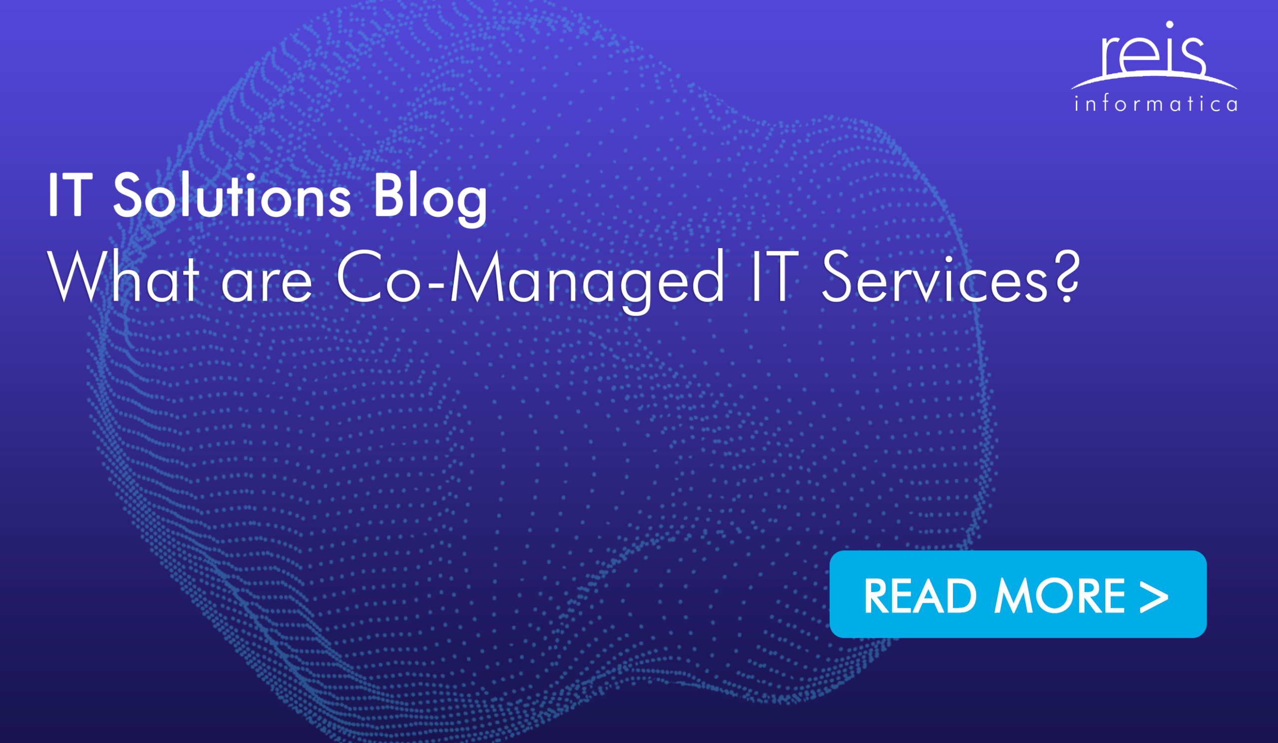 What are Co-Managed IT Services?