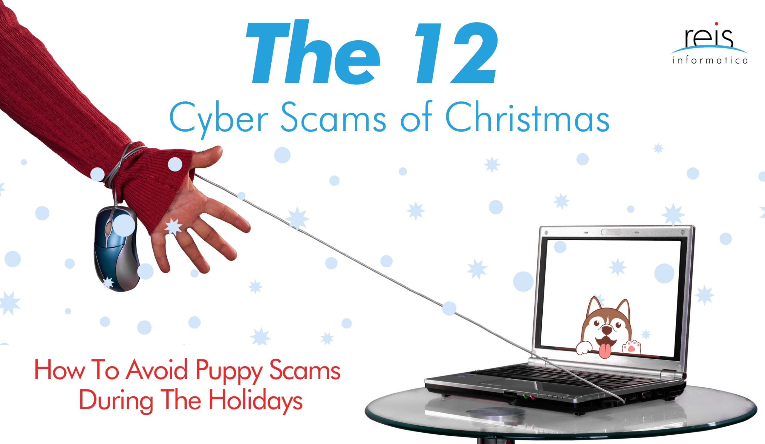 How to Avoid Puppy Scams During the Holidays