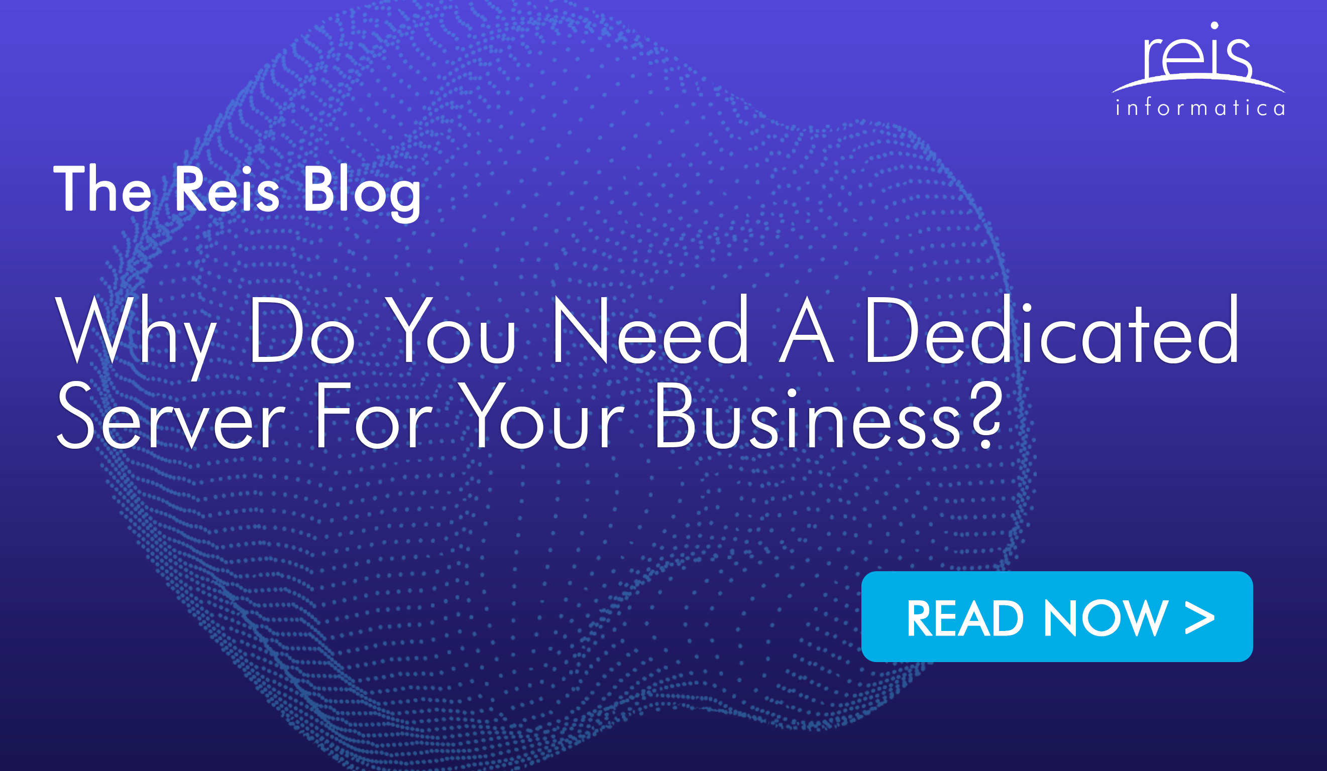 why-do-you-need-a-dedicated-server-for-your-business-reis-informatica