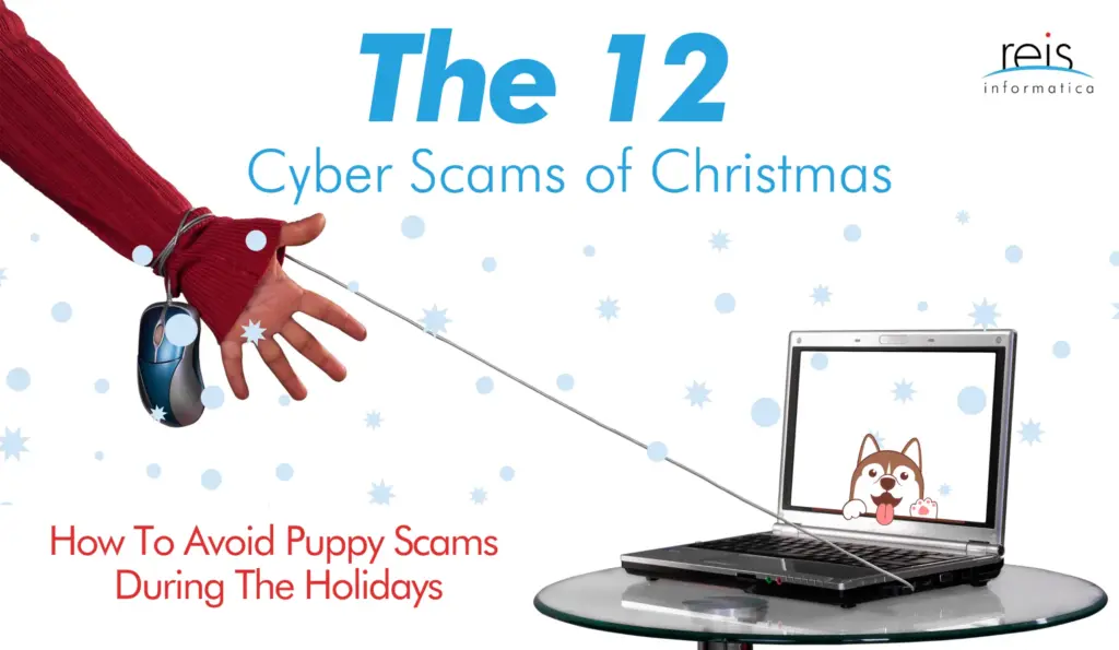 Reis Informática holiday cybersecurity warning: avoid puppy scams targeting online shoppers during Christmas season