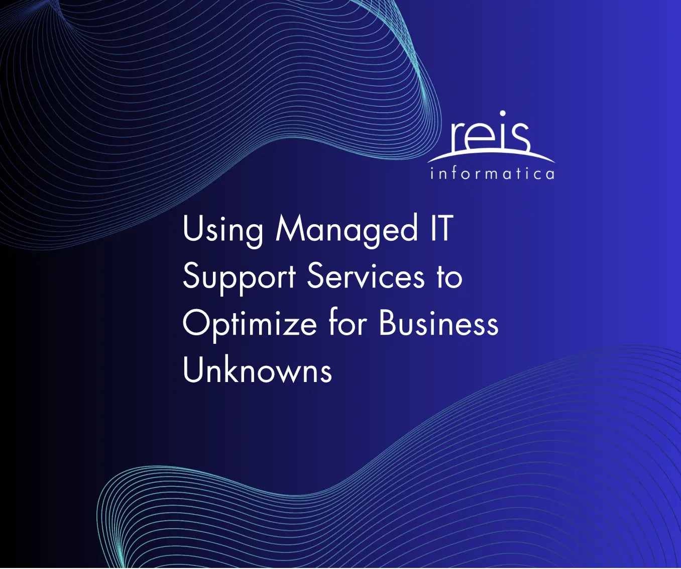 Reis Informatica managed IT support services to optimize for business unknowns and reduce IT risk